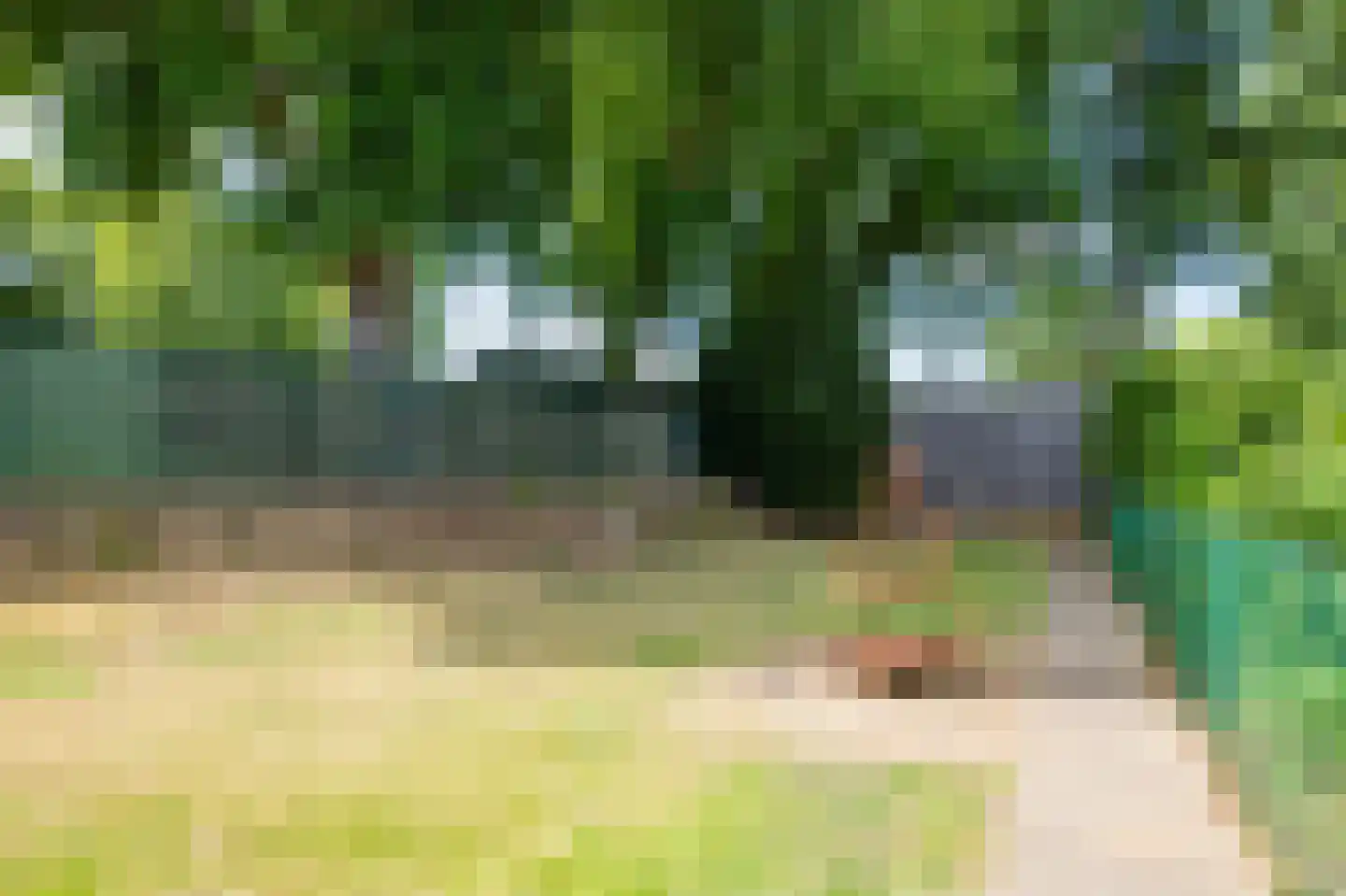 Hoofdstraat 9 Maasbracht thumbnail 30