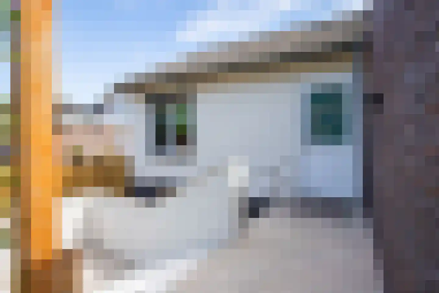 Hoofdstraat 9 Maasbracht thumbnail 31