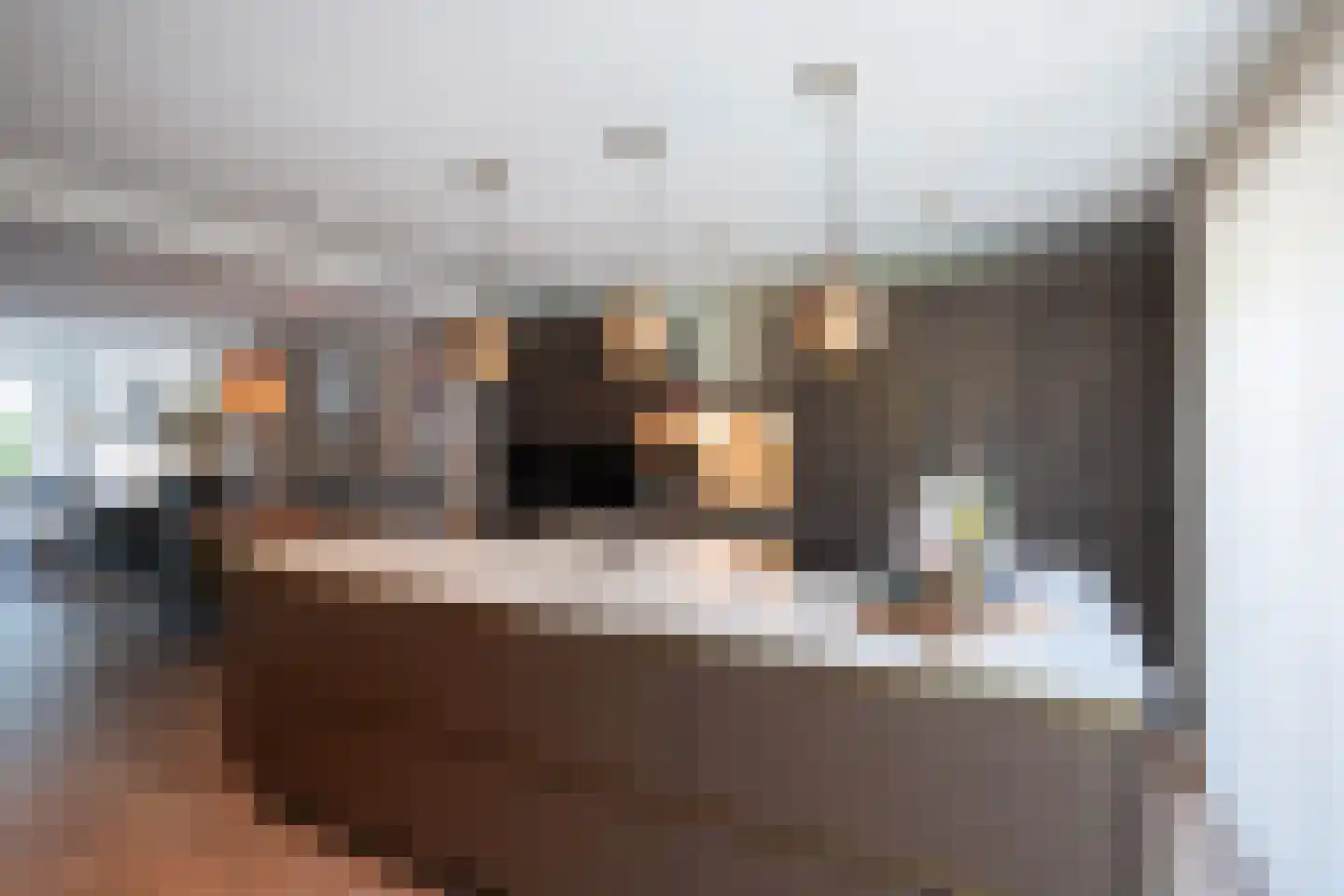 Hoofdstraat 9 Maasbracht thumbnail 9