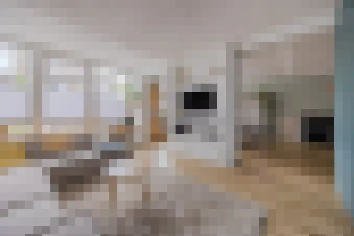 Hoofdstraat 9 Zevenbergschen Hoek thumbnail 12