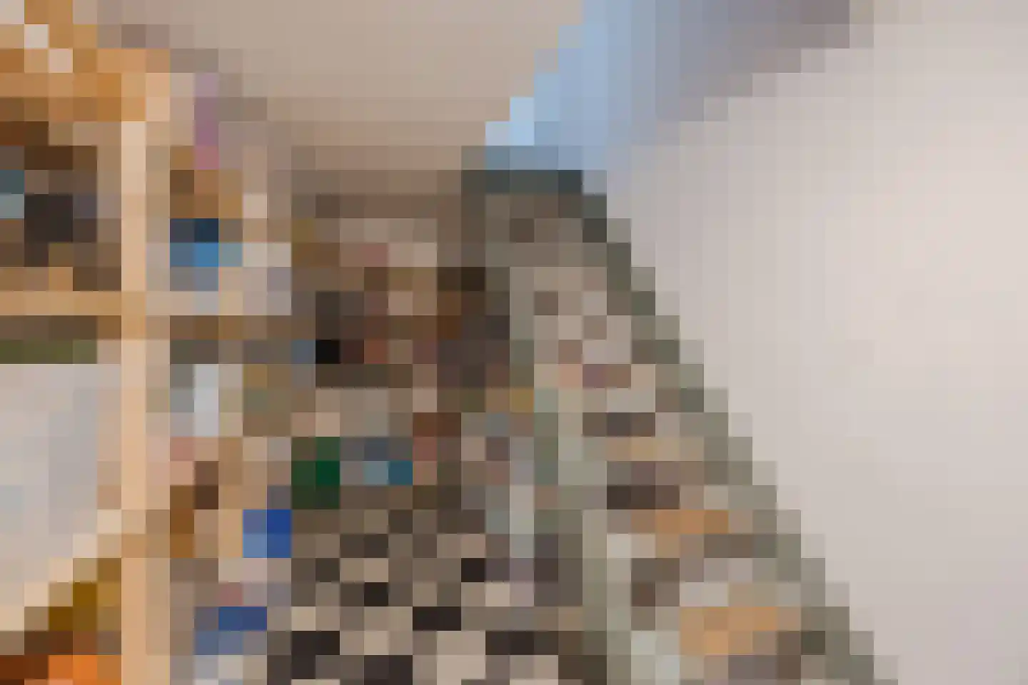 Hoofdstraat 9 Zevenbergschen Hoek thumbnail 24