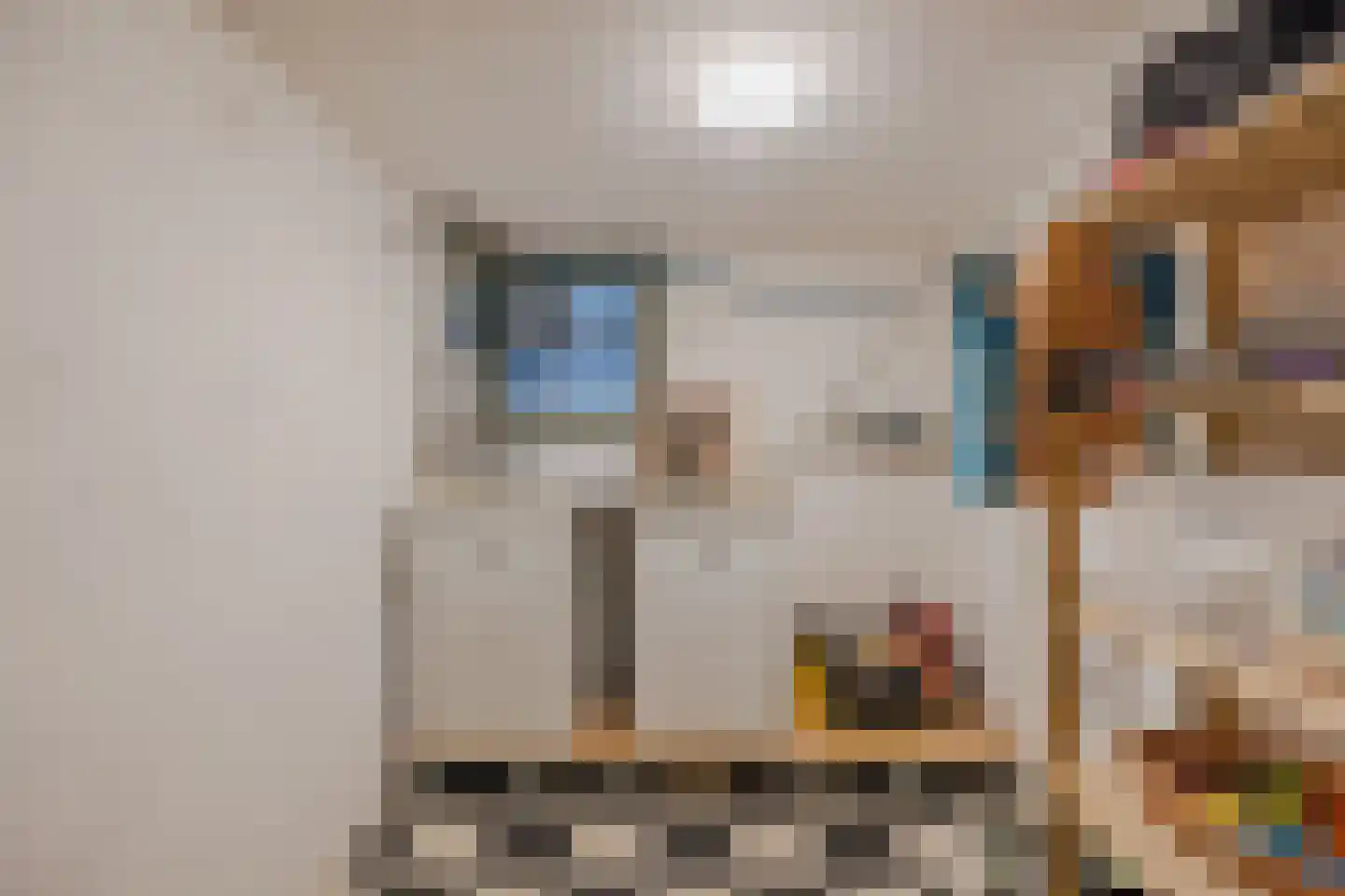Hoofdstraat 9 Zevenbergschen Hoek thumbnail 25