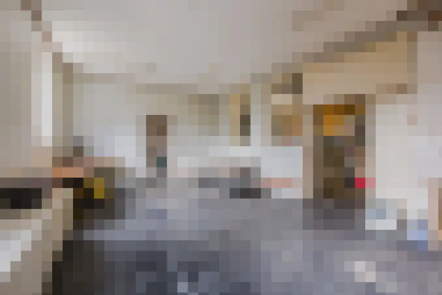 Hoofdstraat 9 Zevenbergschen Hoek thumbnail 27