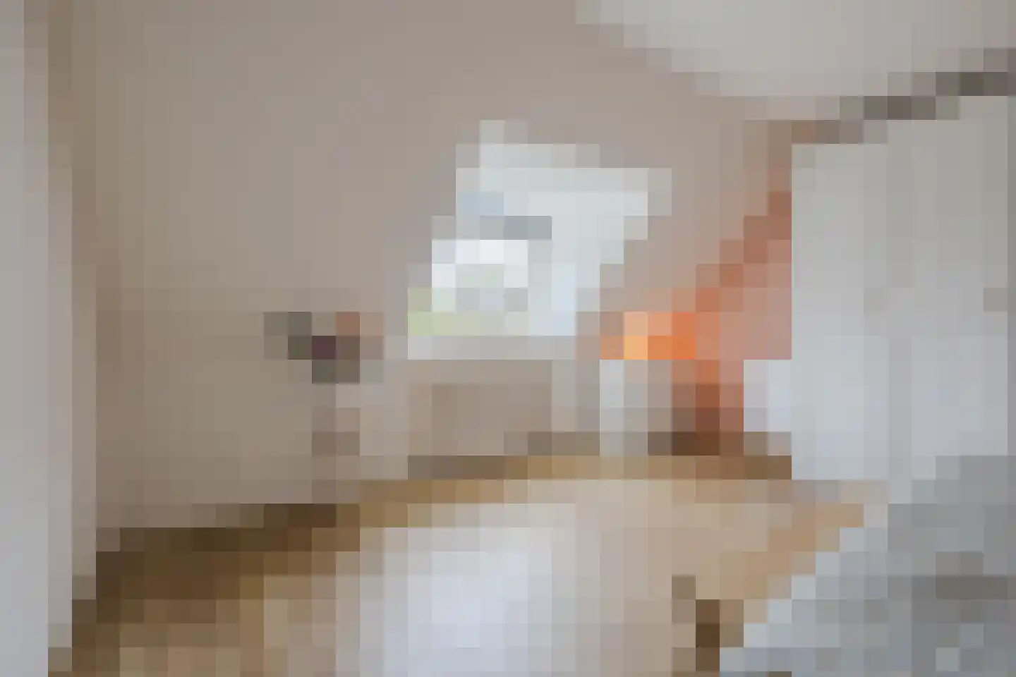Hoofdstraat 9 Zevenbergschen Hoek thumbnail 35