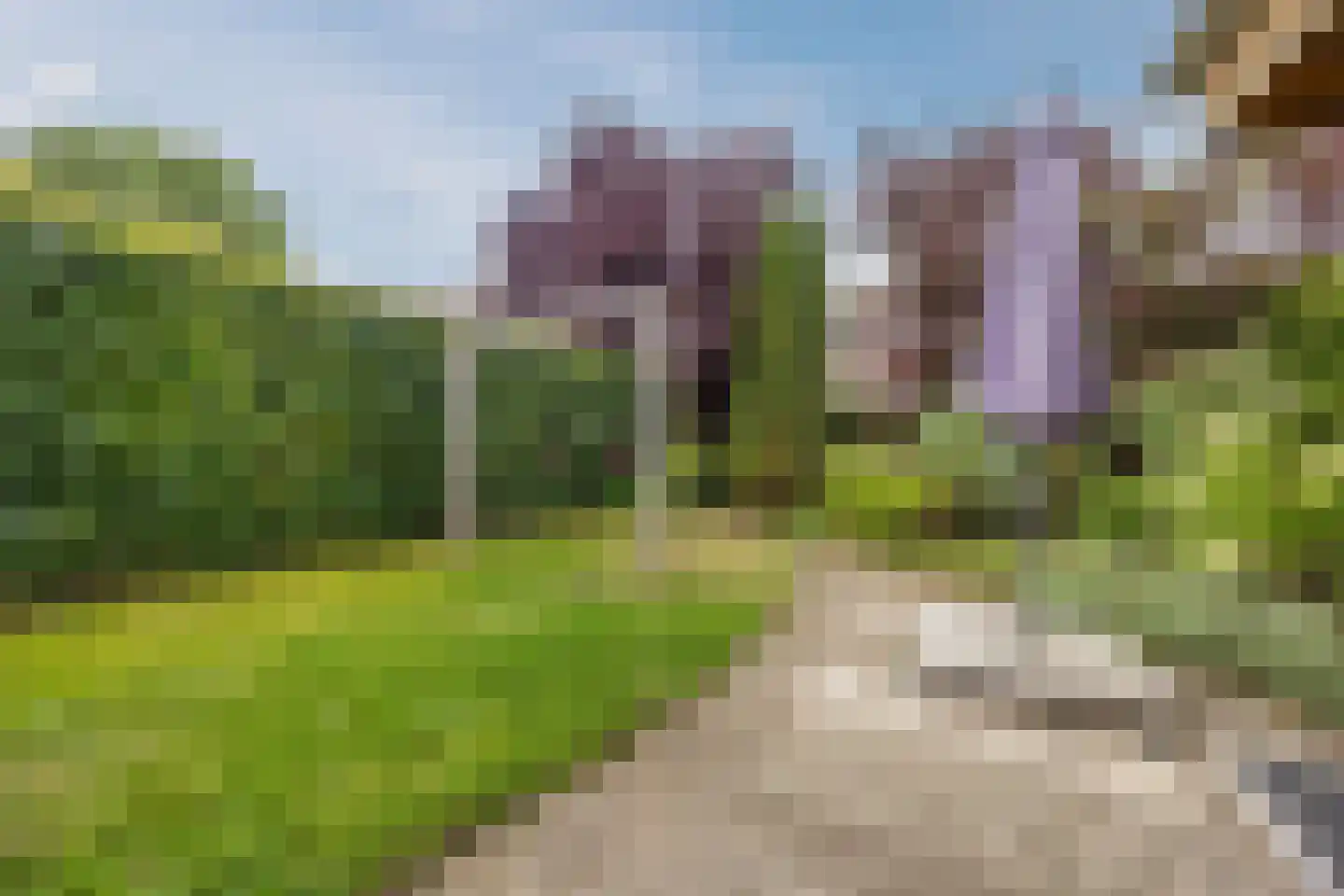 Hoofdstraat 9 Zevenbergschen Hoek thumbnail 4