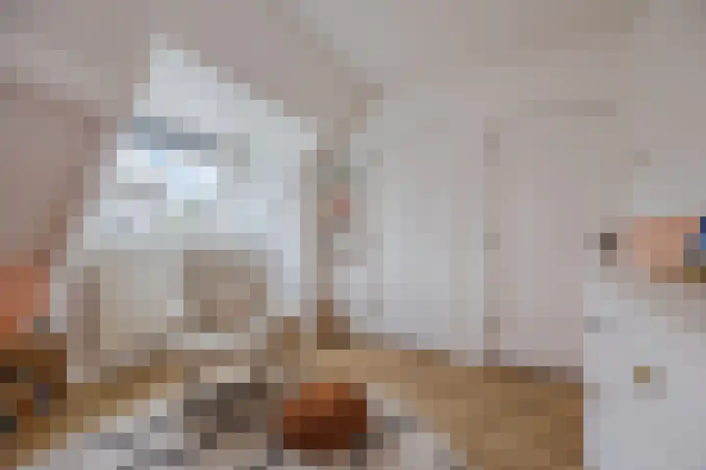 Hoofdstraat 9 Zevenbergschen Hoek thumbnail 40