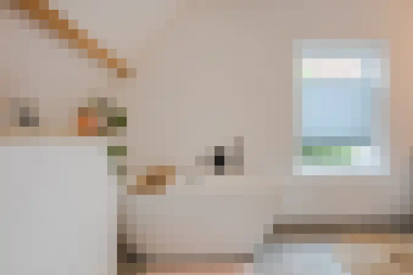 Hoofdstraat 9 Zevenbergschen Hoek thumbnail 42
