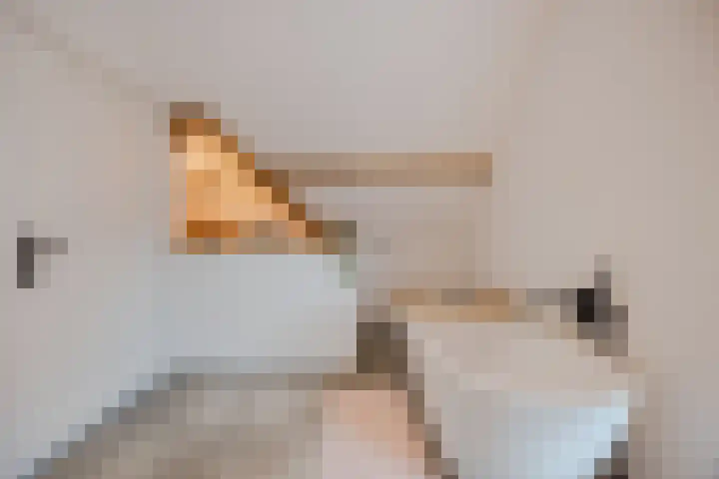 Hoofdstraat 9 Zevenbergschen Hoek thumbnail 44