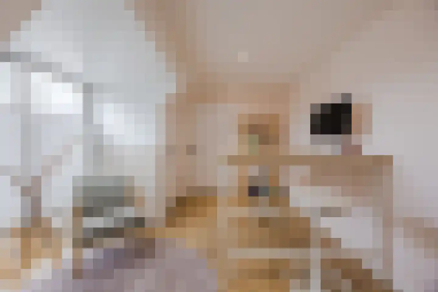 Hoofdstraat 9 Zevenbergschen Hoek thumbnail 47
