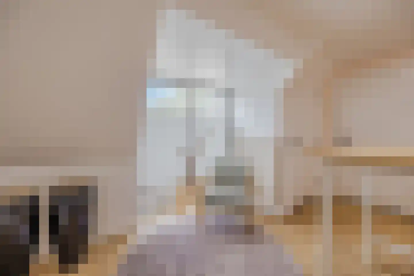 Hoofdstraat 9 Zevenbergschen Hoek thumbnail 48