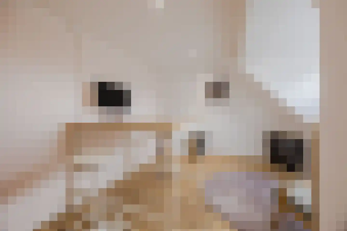Hoofdstraat 9 Zevenbergschen Hoek thumbnail 49