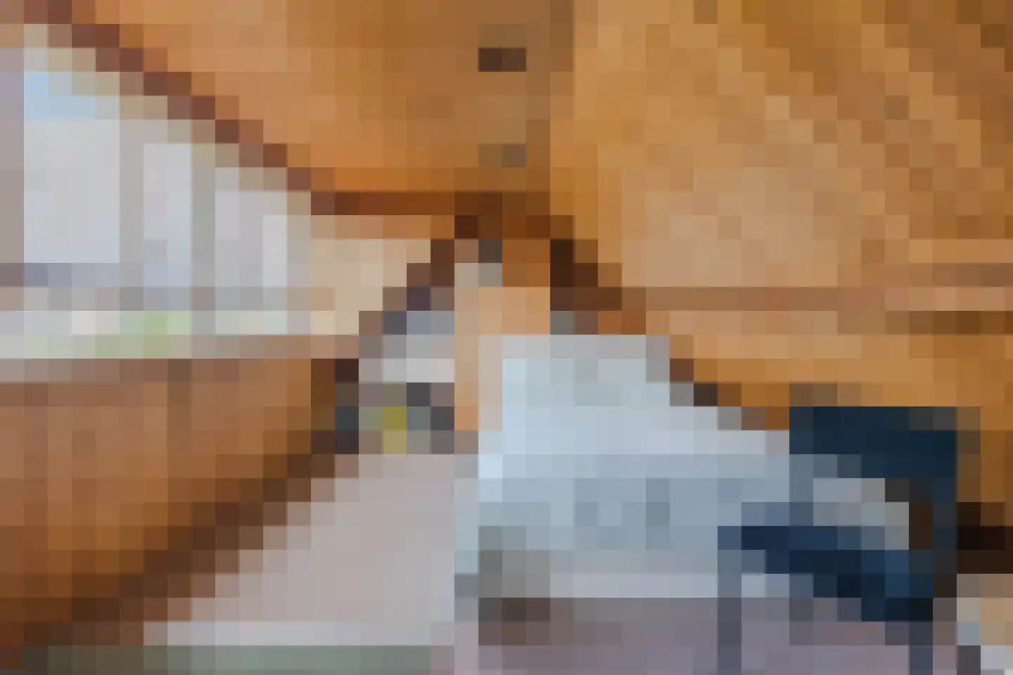 Hoofdstraat 9 Zevenbergschen Hoek thumbnail 50