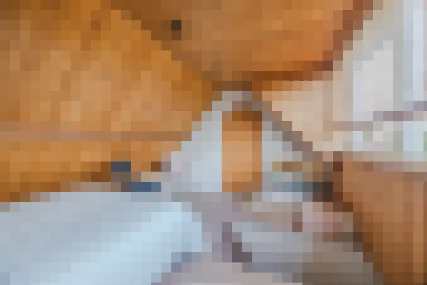 Hoofdstraat 9 Zevenbergschen Hoek thumbnail 51