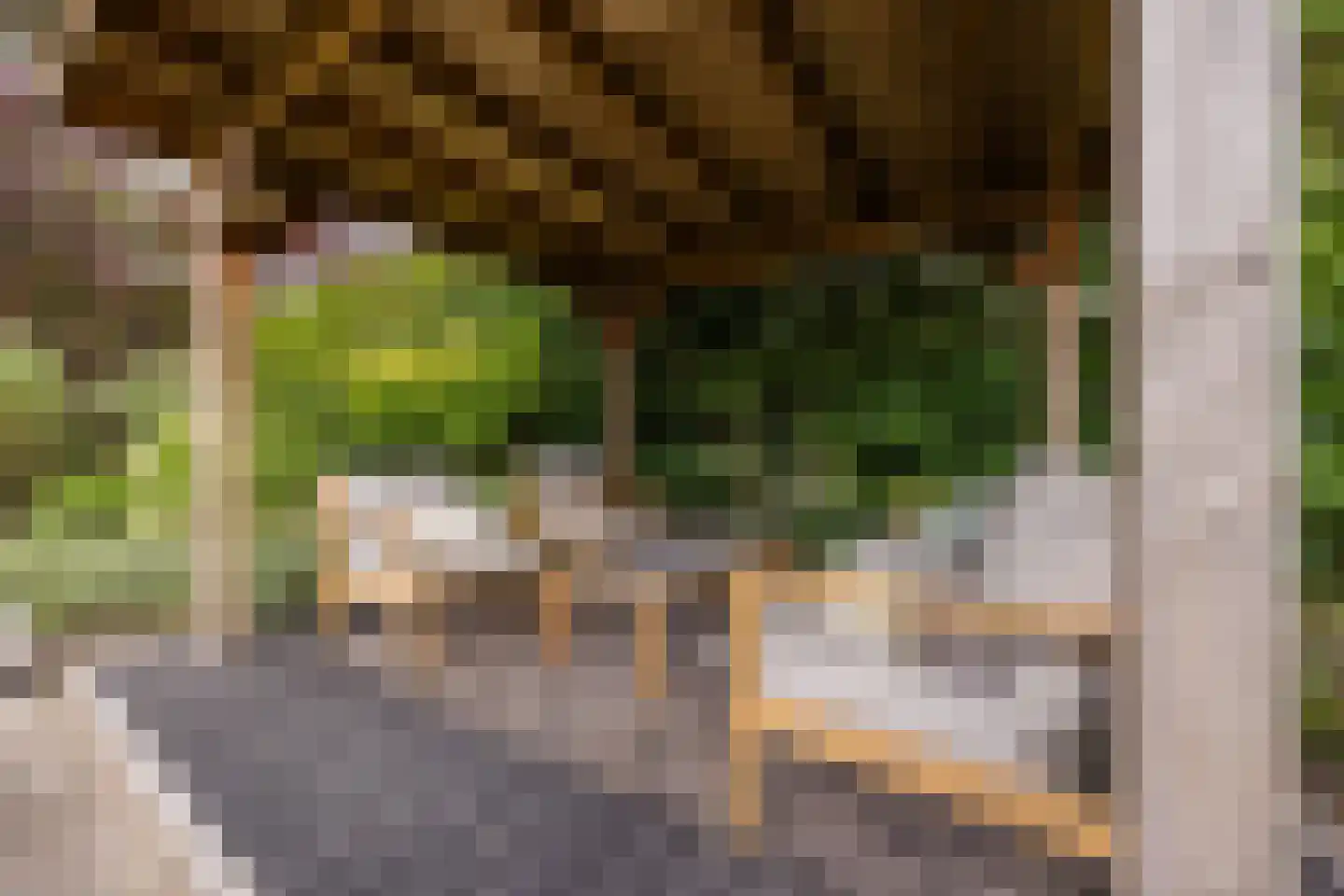 Hoofdstraat 9 Zevenbergschen Hoek thumbnail 55