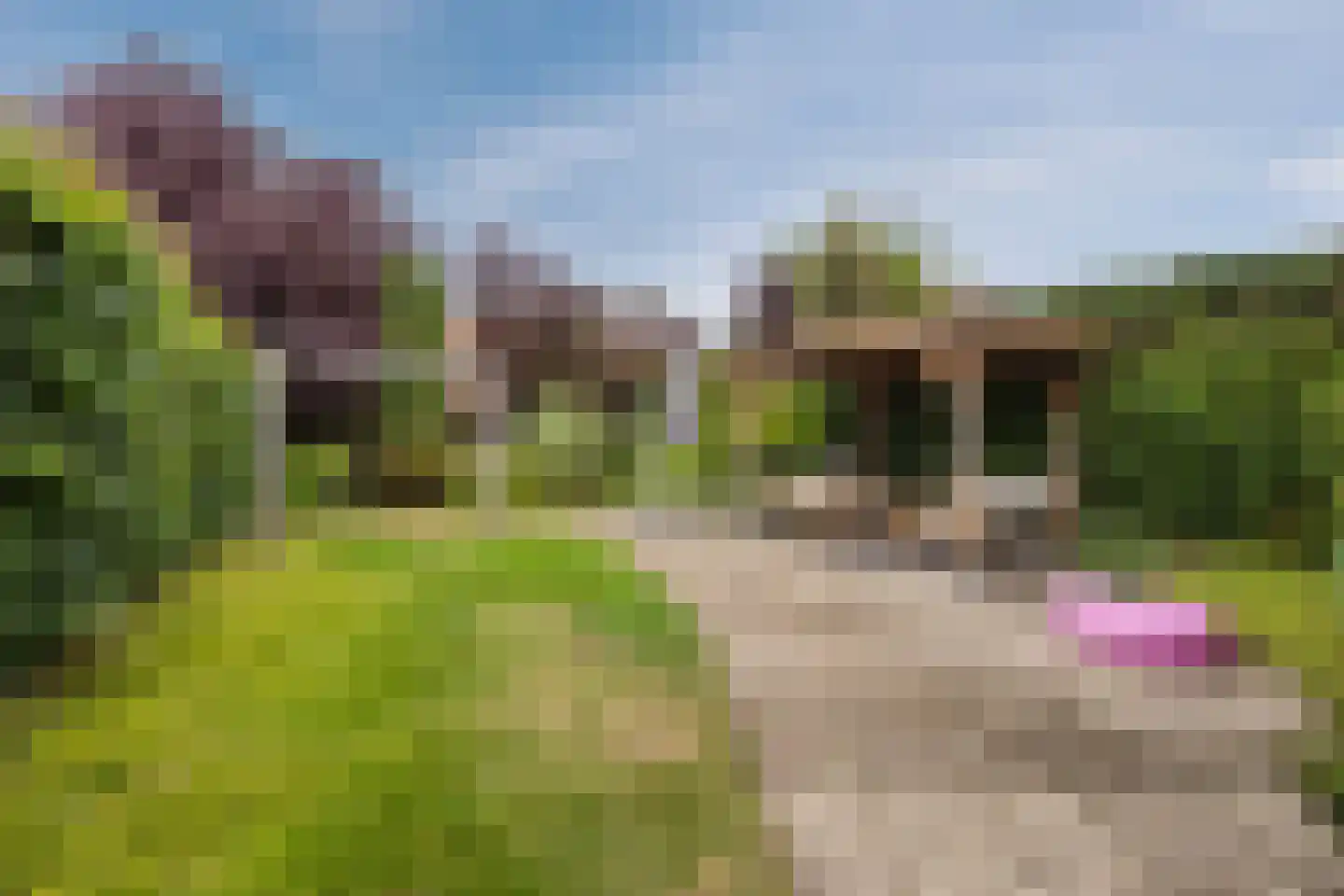 Hoofdstraat 9 Zevenbergschen Hoek thumbnail 6