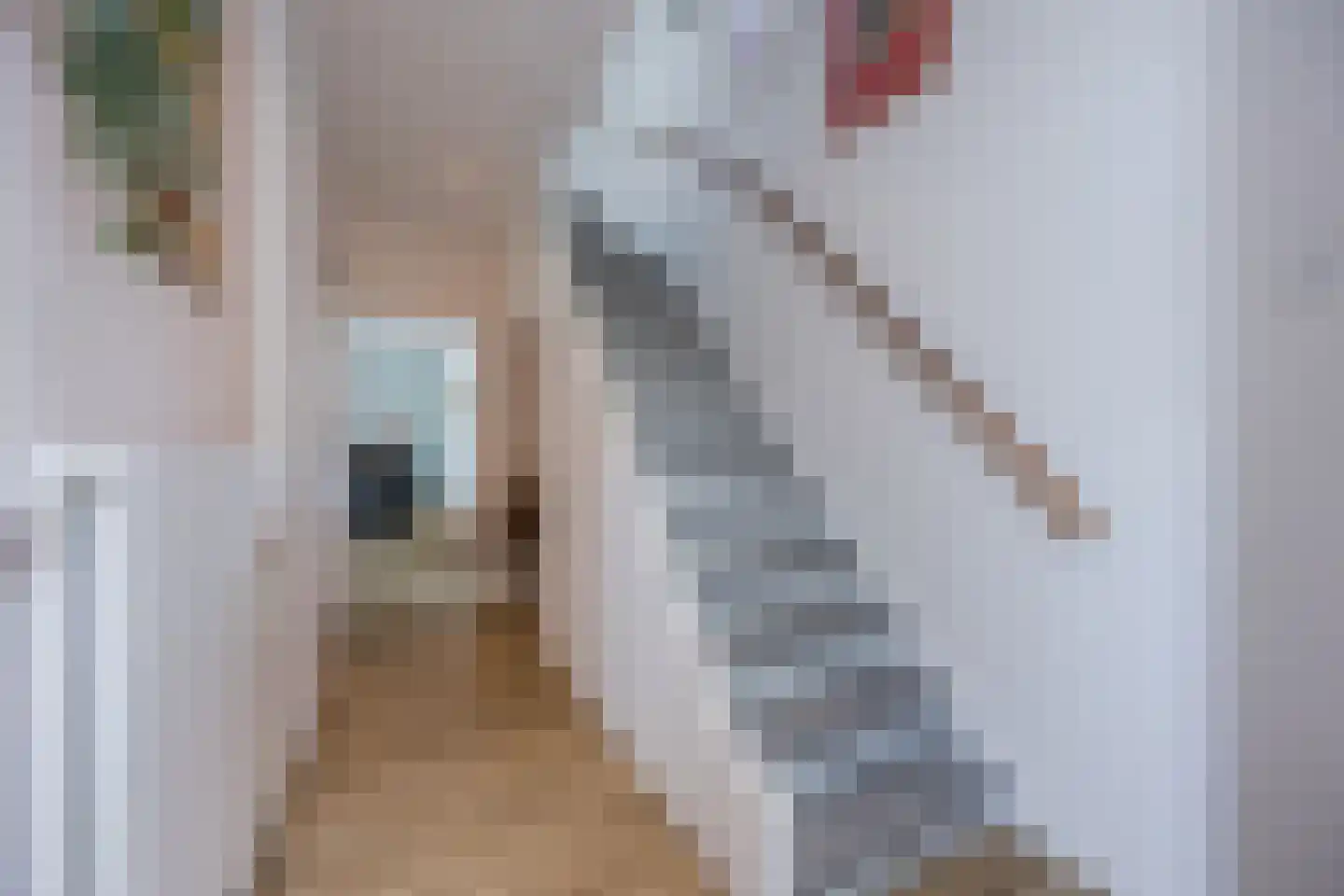 Hoofdstraat 9 Zevenbergschen Hoek thumbnail 9