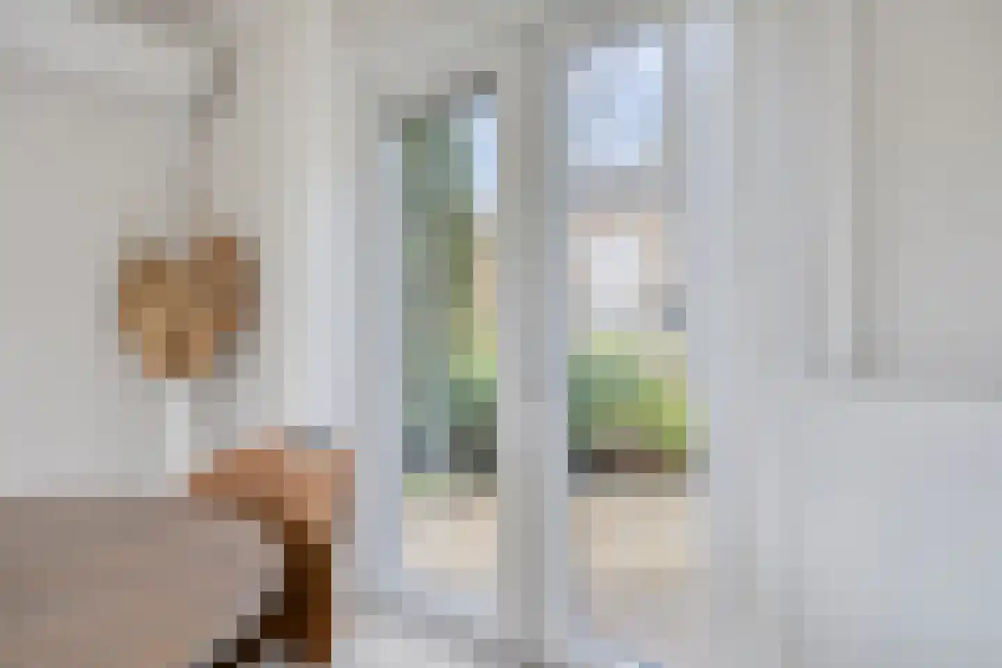 Hoofdstraat 90 Borger thumbnail 20