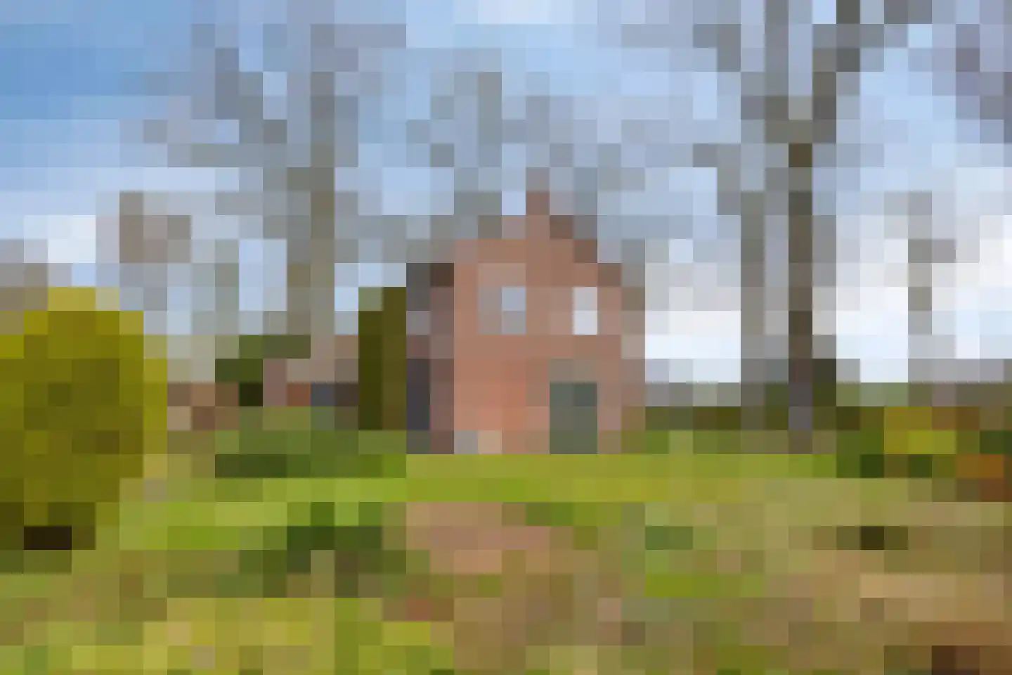 Hoofdstraat 90 Borger thumbnail 6