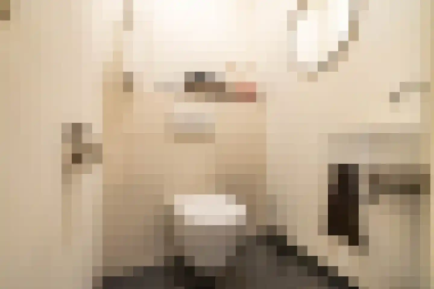 Hoofdstraat 90 Hoogezand thumbnail 12