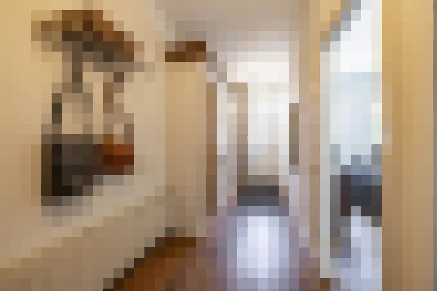 Hoofdstraat 90 Hoogezand thumbnail 13