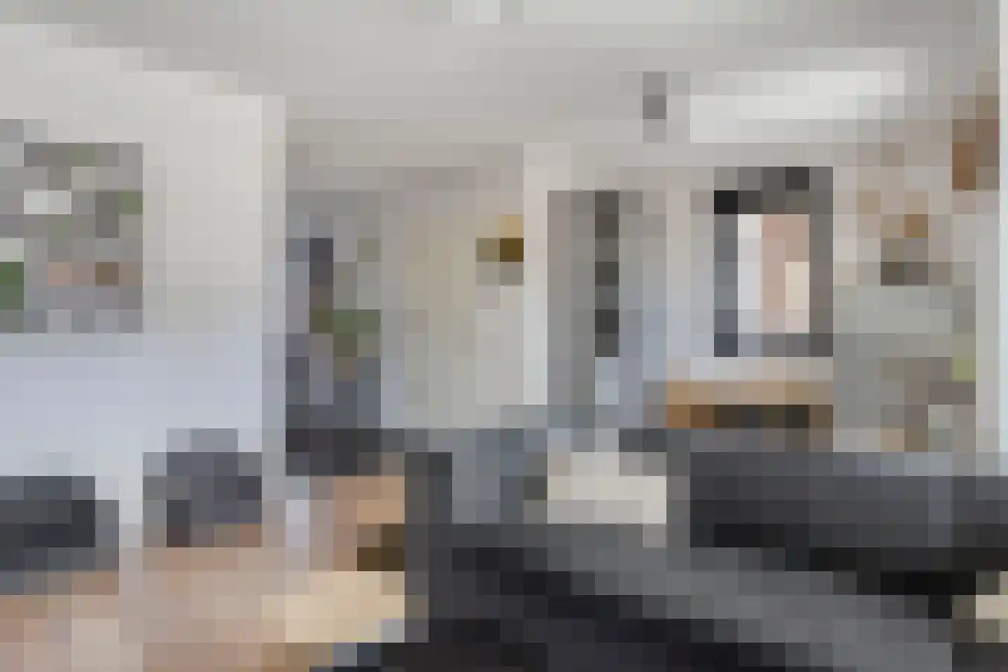Hoofdstraat 91 Liessel thumbnail 11