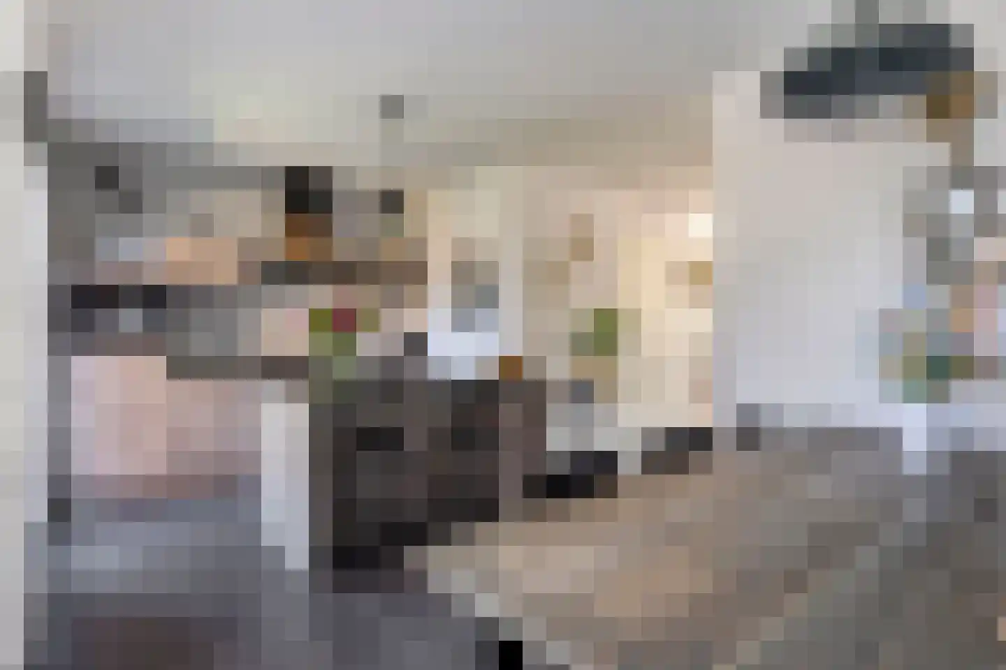 Hoofdstraat 91 Liessel thumbnail 16