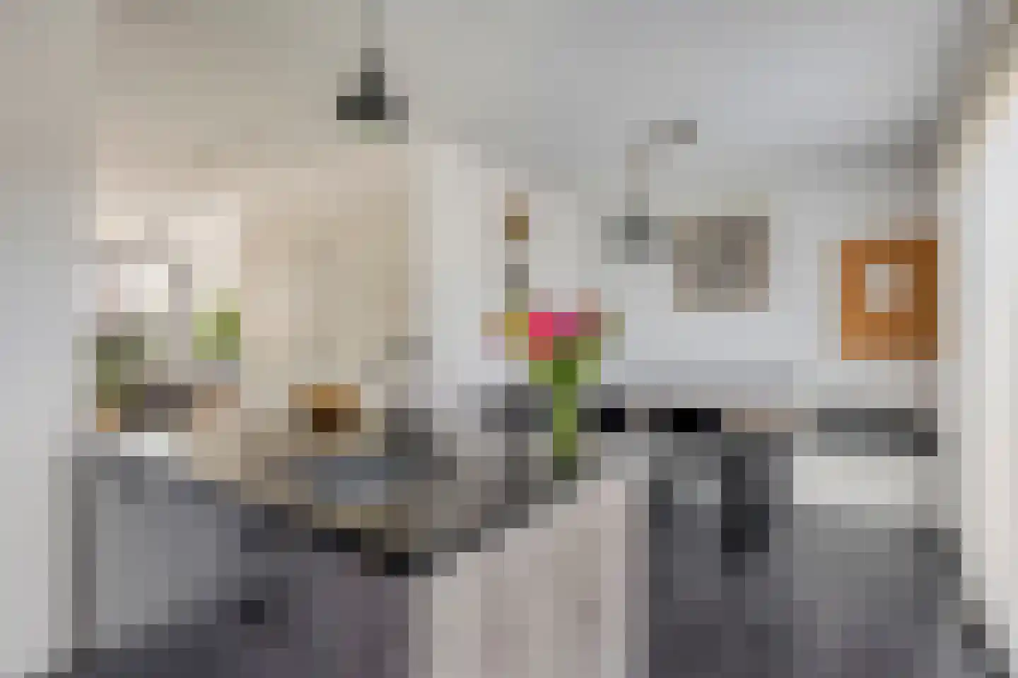 Hoofdstraat 91 Liessel thumbnail 17