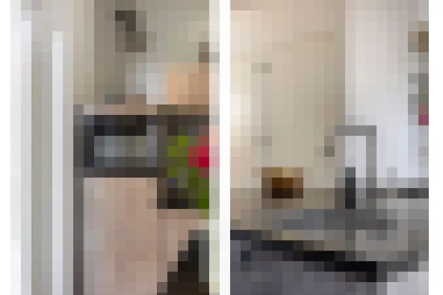 Hoofdstraat 91 Liessel thumbnail 20