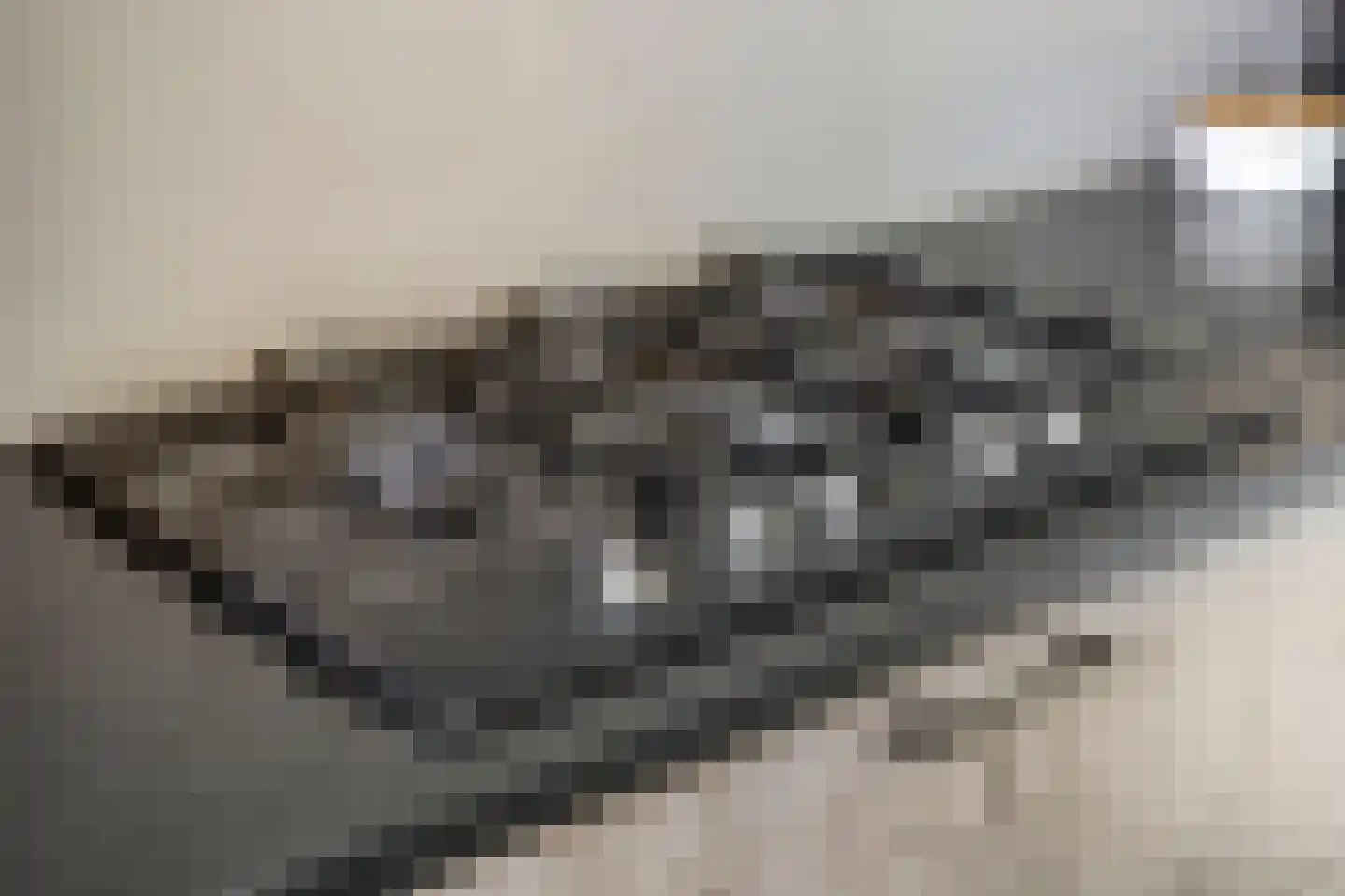 Hoofdstraat 91 Liessel thumbnail 21