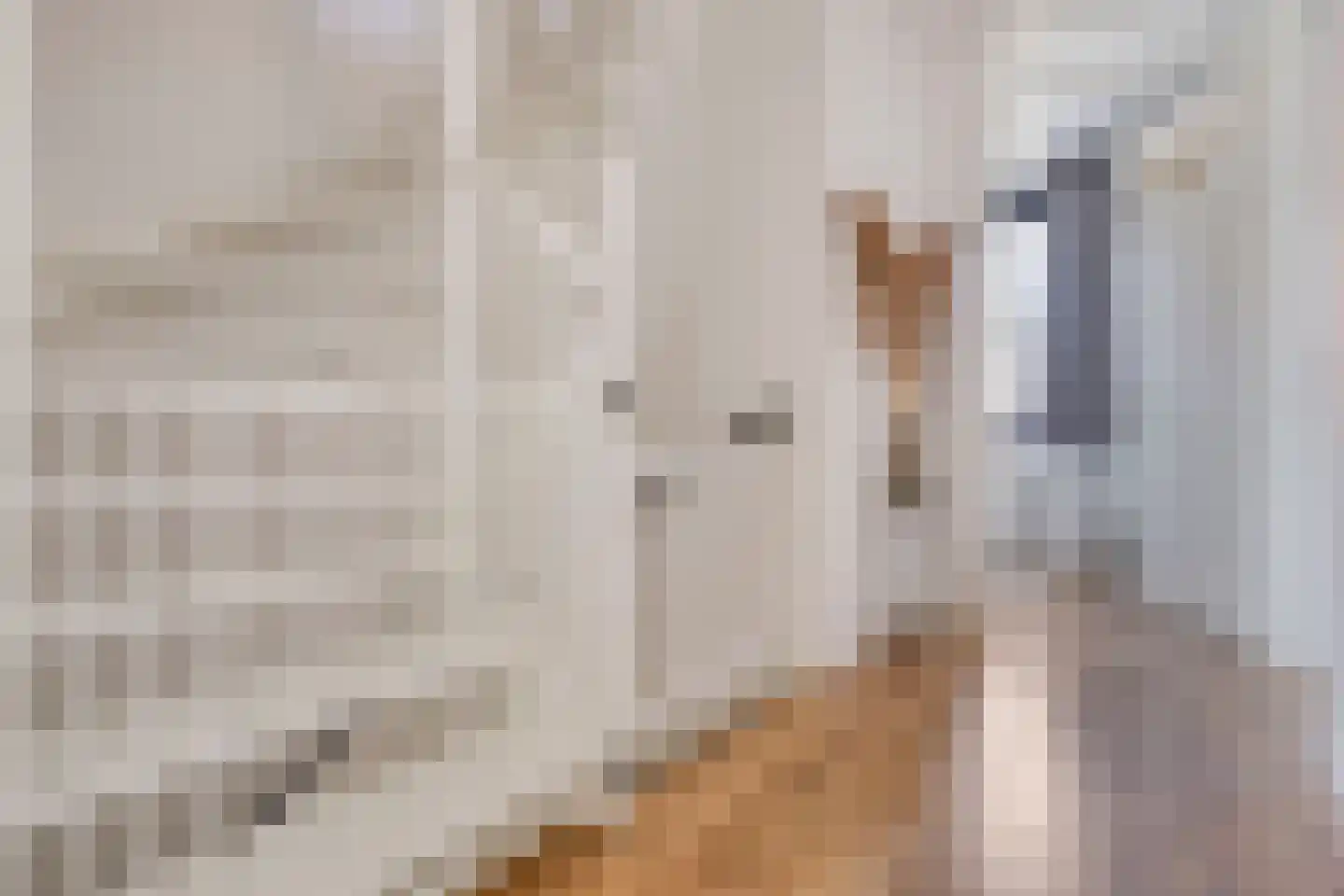 Hoofdstraat 91 Liessel thumbnail 23