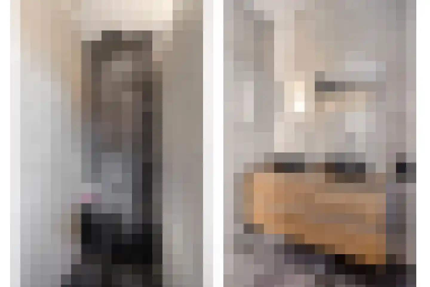 Hoofdstraat 91 Liessel thumbnail 31