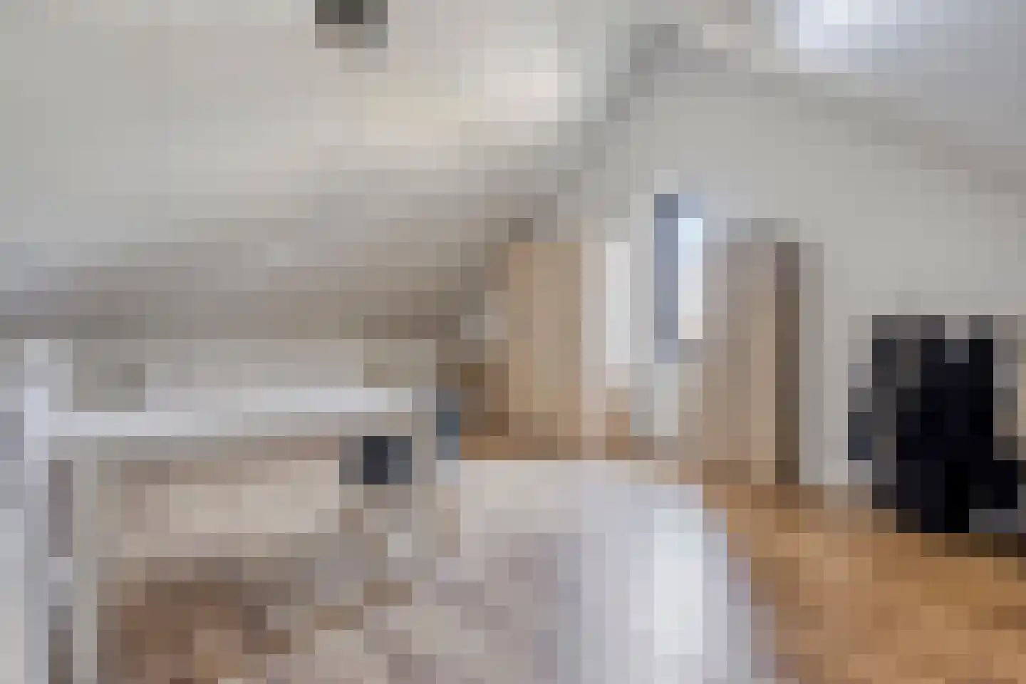 Hoofdstraat 91 Liessel thumbnail 33