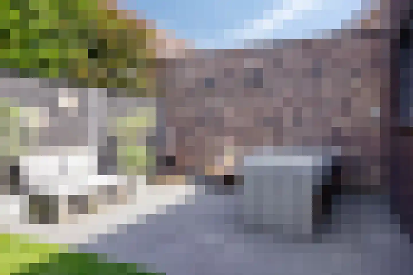 Hoofdstraat 91 Liessel thumbnail 36