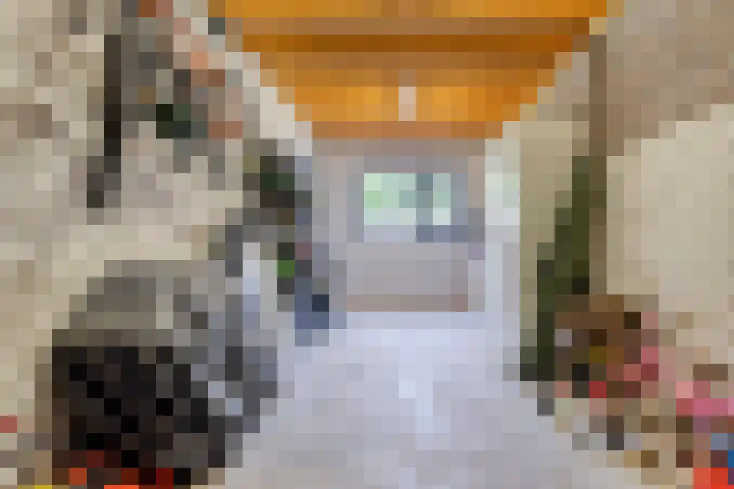 Hoofdstraat 91 Liessel thumbnail 39