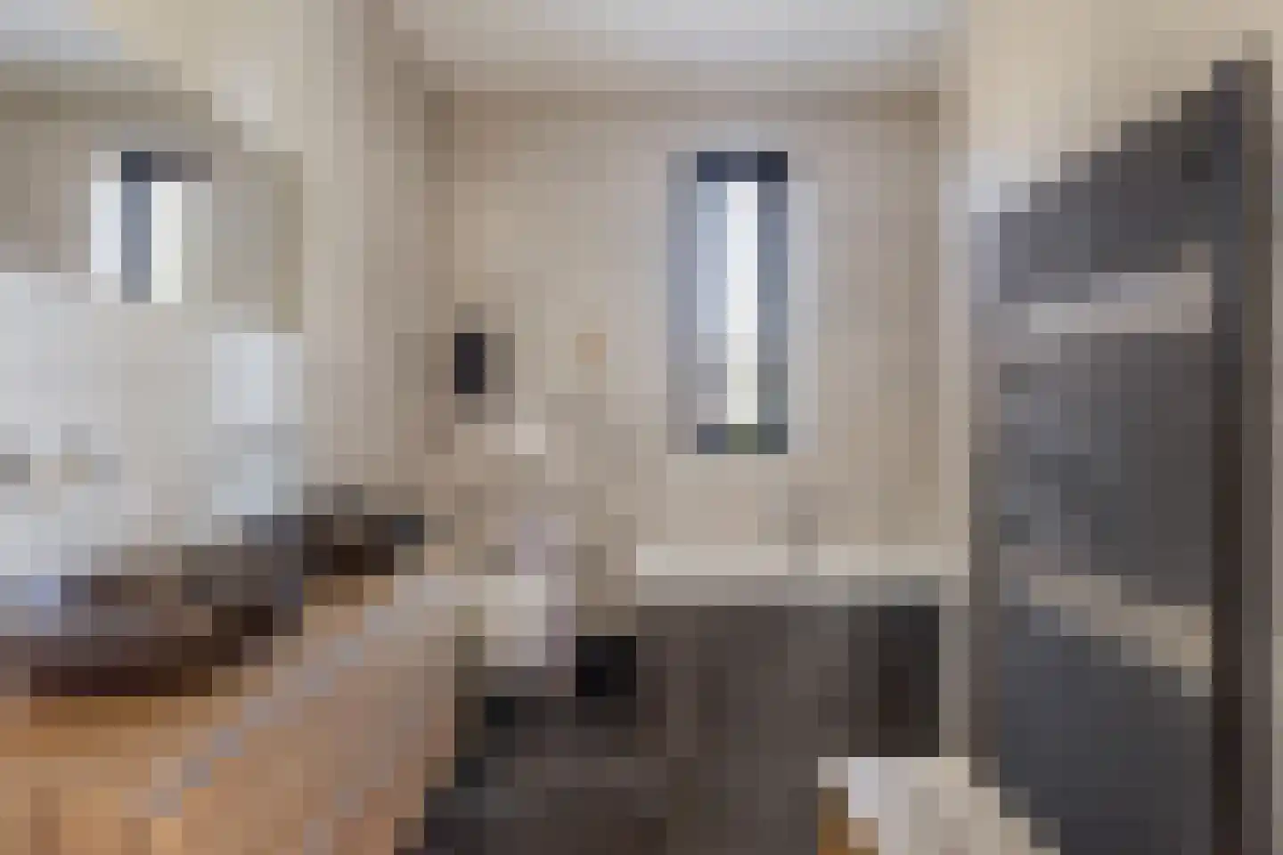 Hoofdstraat 91 Liessel thumbnail 4