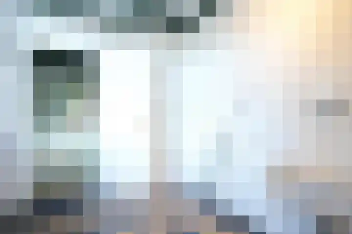 Hoofdstraat 91 Mechelen thumbnail 8