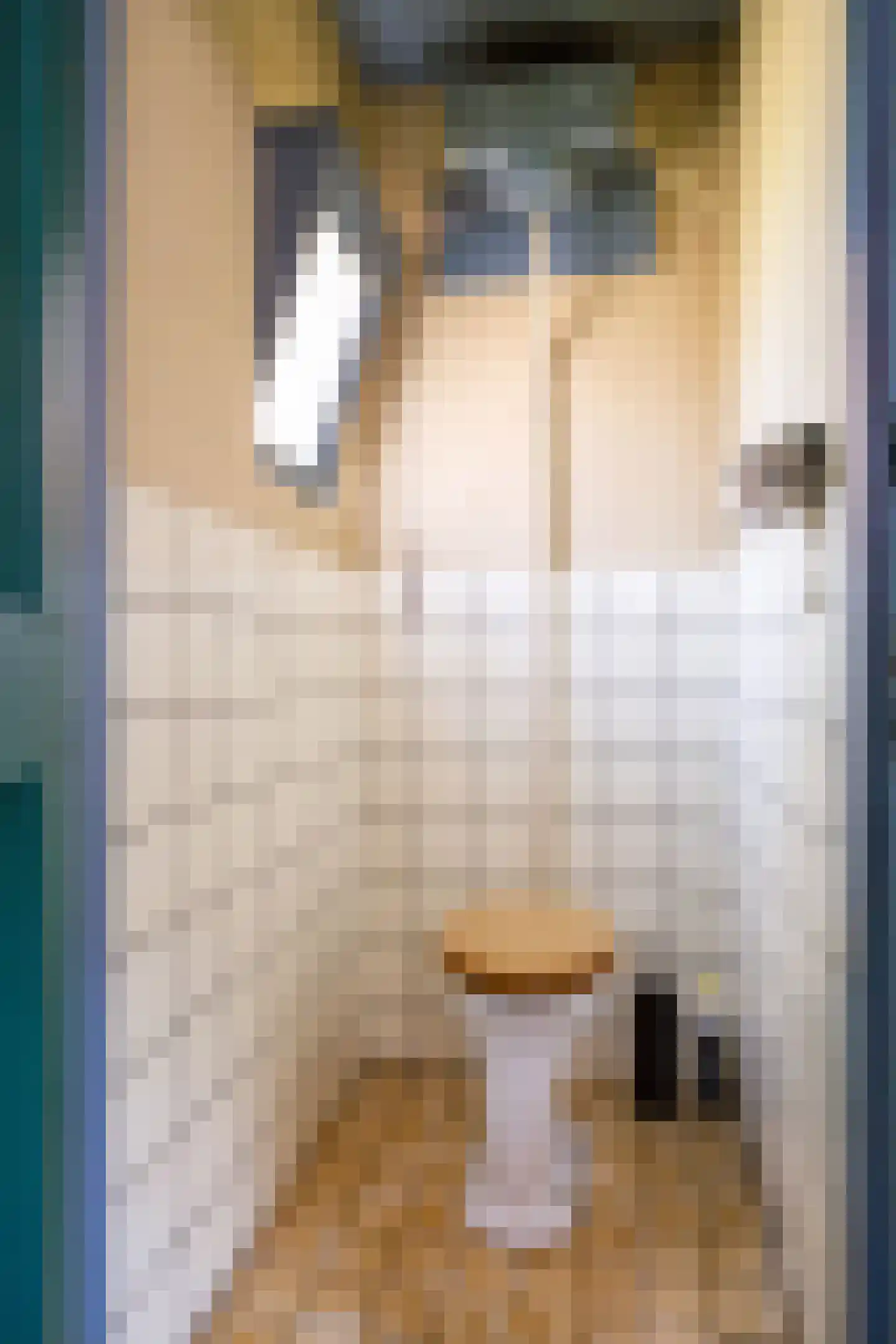 Hoofdstraat 91 Pieterburen thumbnail 16