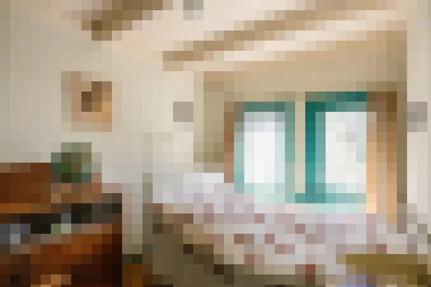 Hoofdstraat 91 Pieterburen thumbnail 21