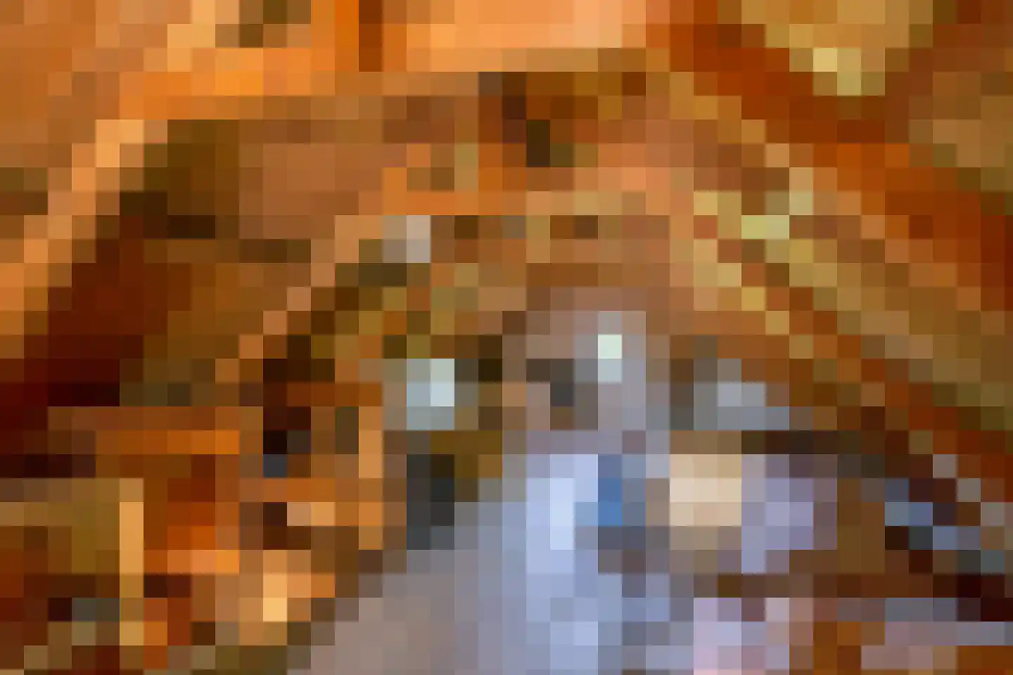 Hoofdstraat 91 Pieterburen thumbnail 22