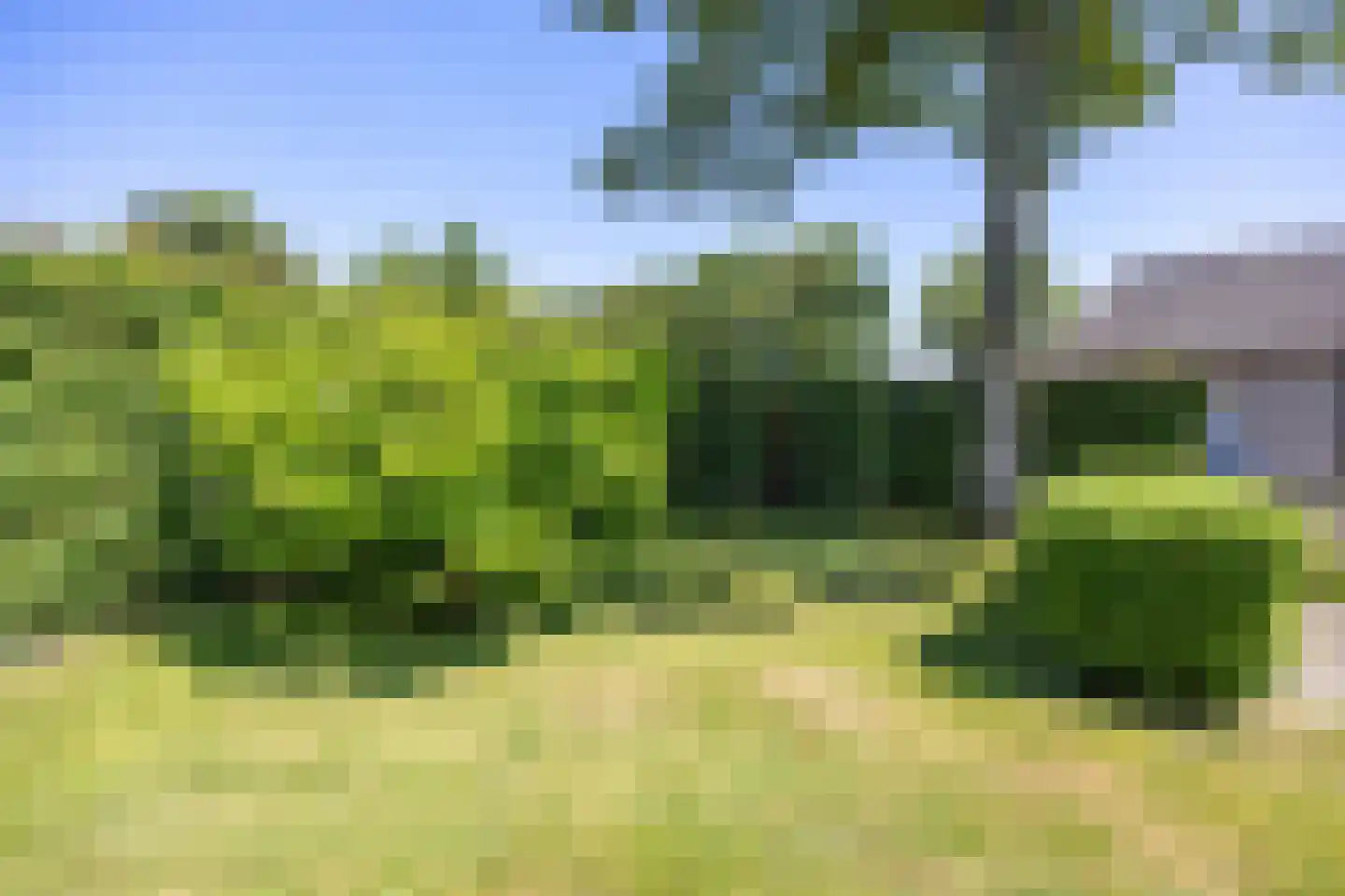 Hoofdstraat 91 Pieterburen thumbnail 25