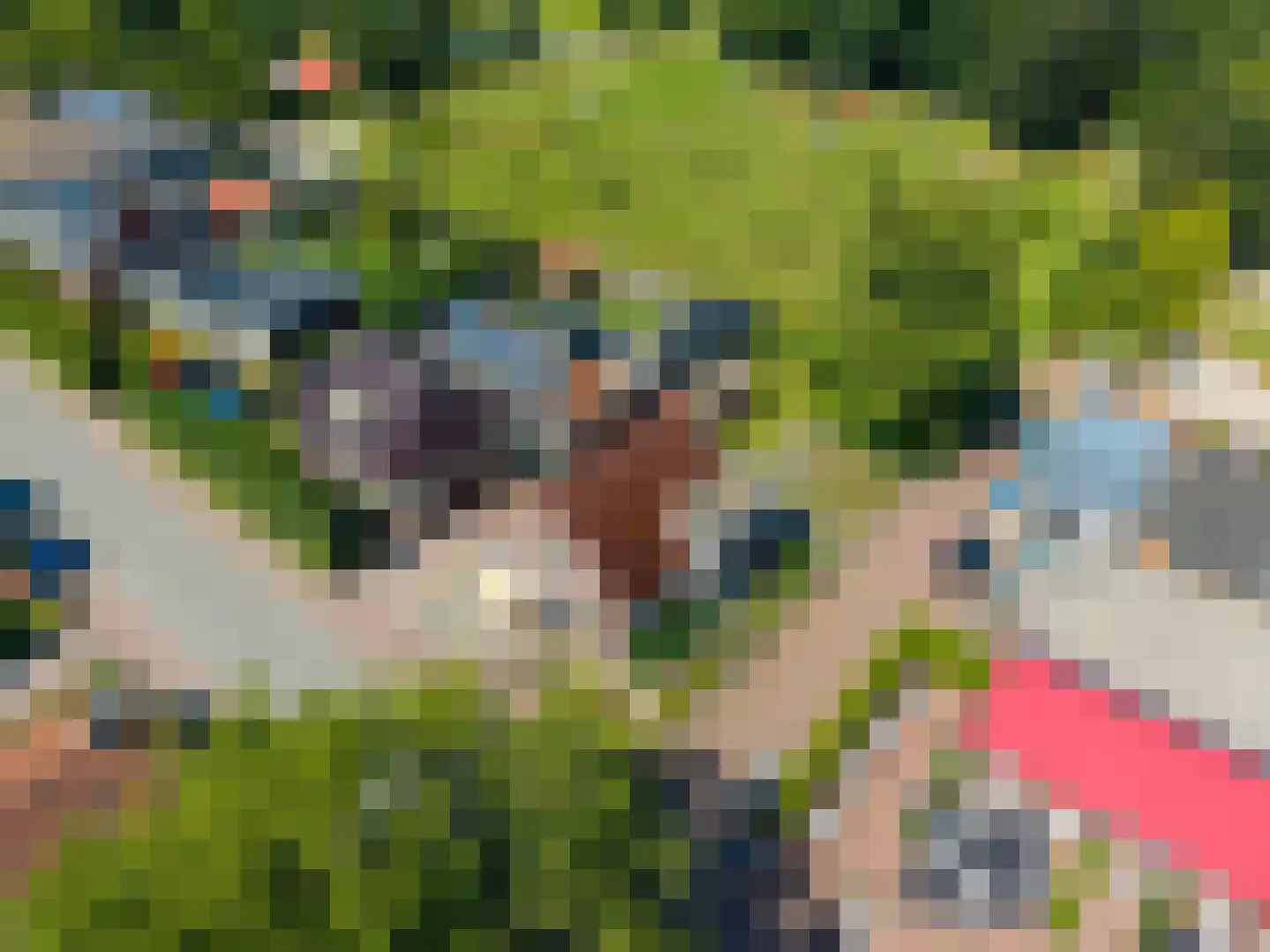 Hoofdstraat 91 Pieterburen thumbnail 4