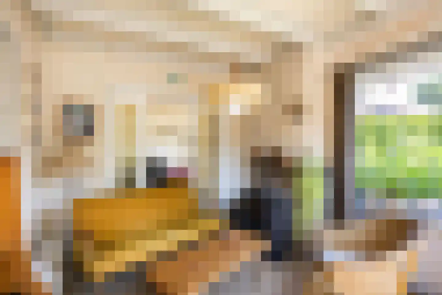 Hoofdstraat 91 Pieterburen thumbnail 7
