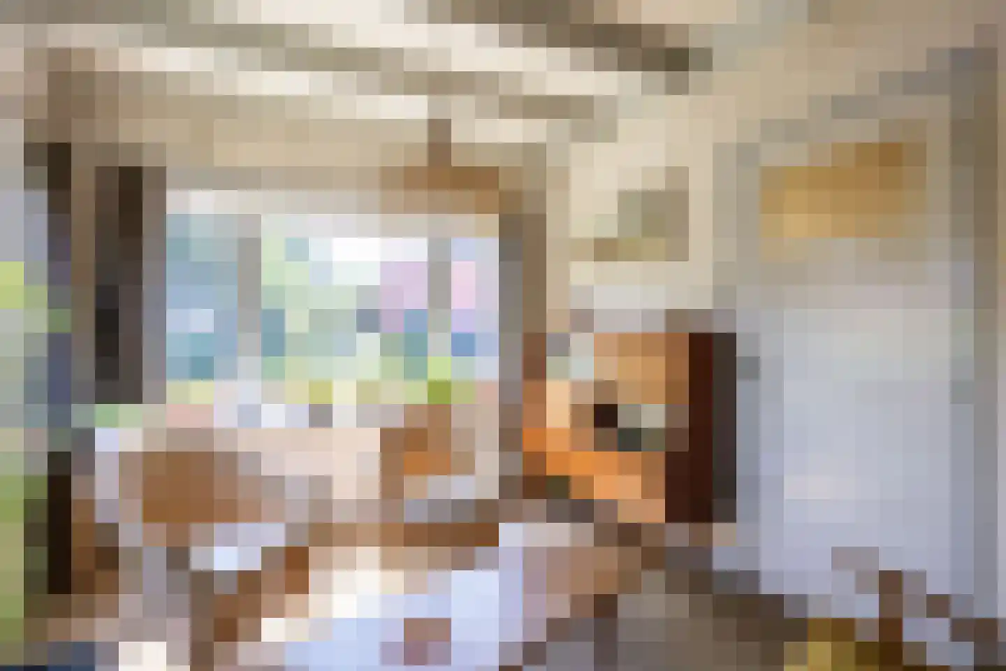 Hoofdstraat 91 Pieterburen thumbnail 8