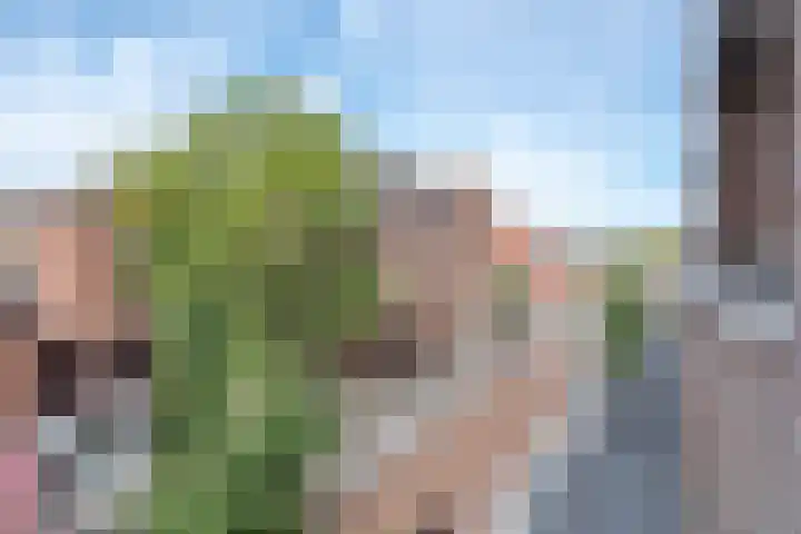 Hoofdstraat 94 B Schijndel thumbnail 9