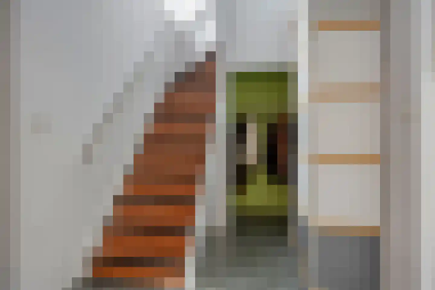 Hoofdstraat 94 De Steeg thumbnail 12