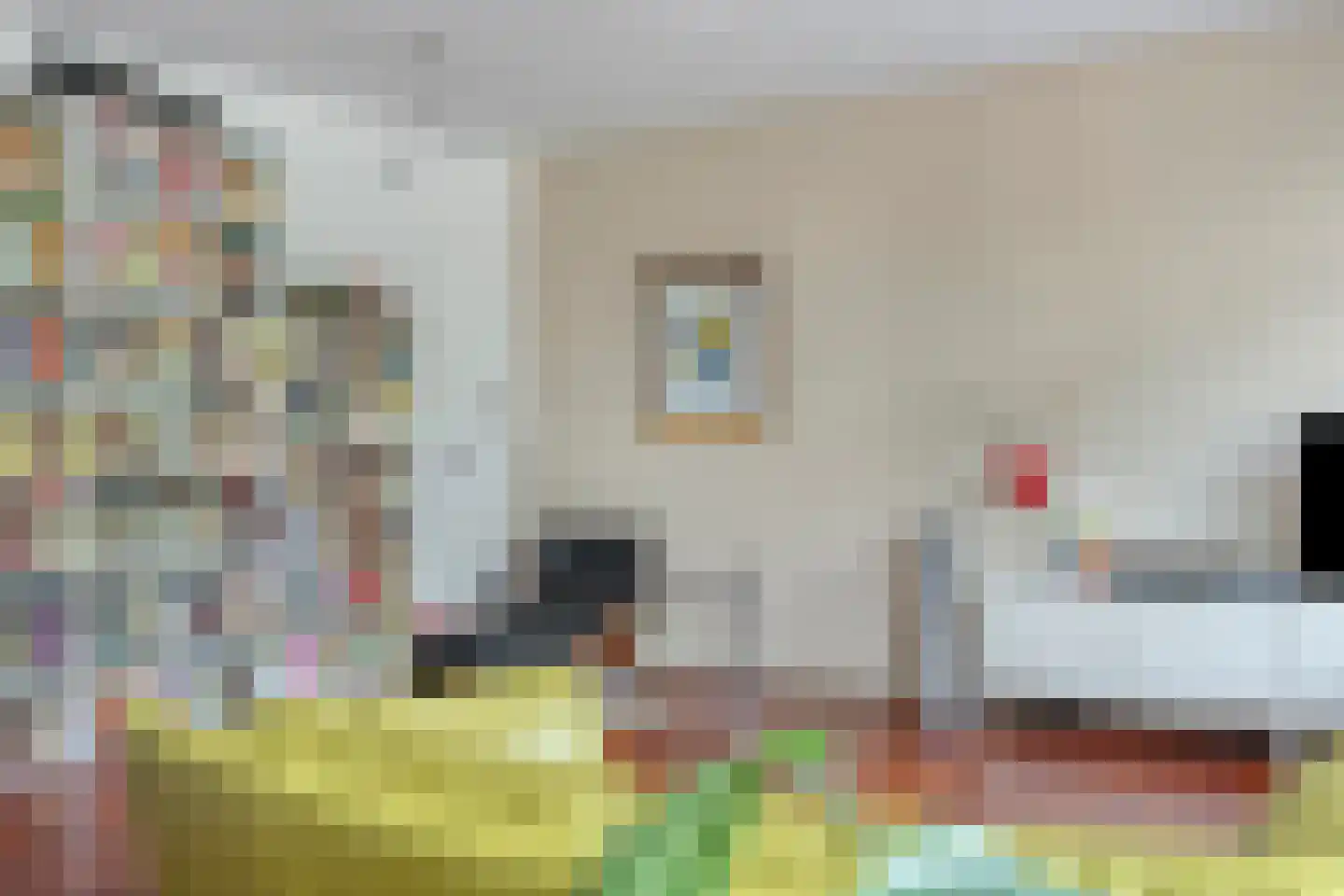 Hoofdstraat 94 De Steeg thumbnail 15
