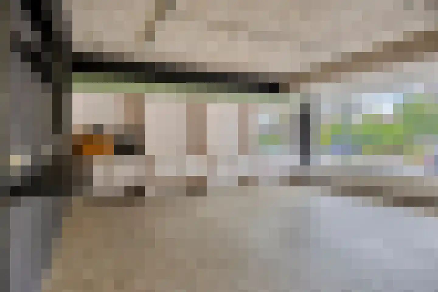 Hoofdstraat 94 De Steeg thumbnail 27