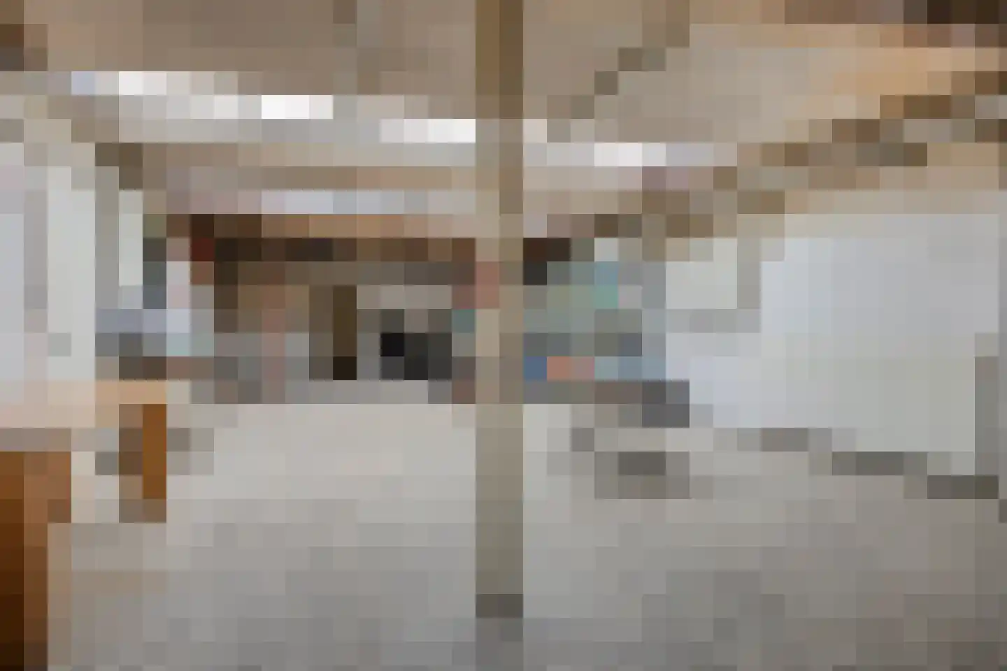 Hoofdstraat 94 De Steeg thumbnail 33
