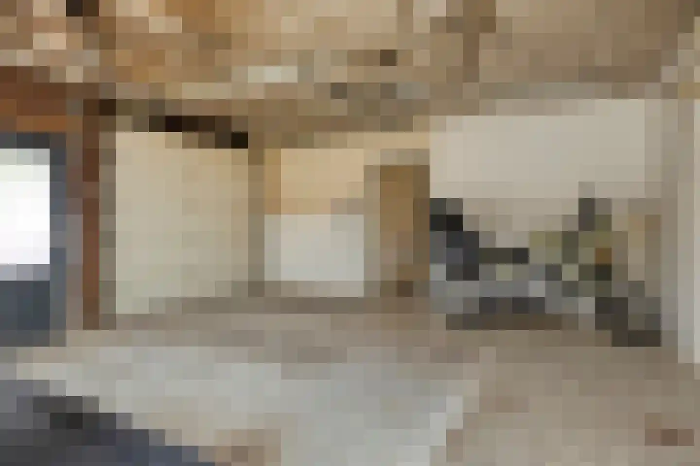 Hoofdstraat 94 De Steeg thumbnail 38