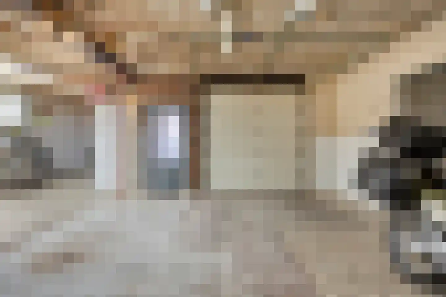 Hoofdstraat 94 De Steeg thumbnail 39